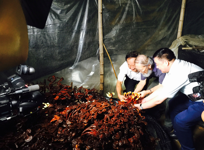 圖片關(guān)鍵詞 圖片關(guān)鍵詞