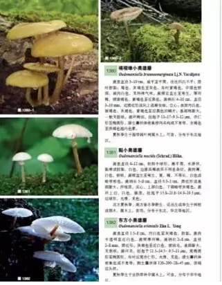 圖片關鍵詞 圖片關鍵詞