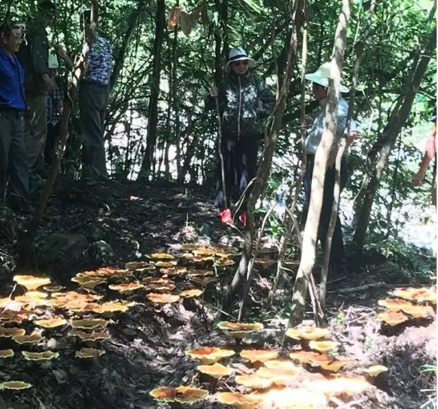 圖片關鍵詞 圖片關鍵詞