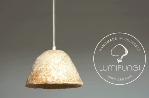 圖片關鍵詞 http://www.zhongqi186.cn/ewebeditor/uploadfile/20180727085601461001.png