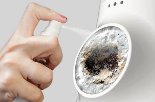 圖片關鍵詞 http://www.mushroommarket.net/file/upload/201912/14/09-49-46-90-283825.png