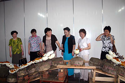 圖片關鍵詞 圖片關鍵詞