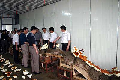 圖片關鍵詞 圖片關鍵詞