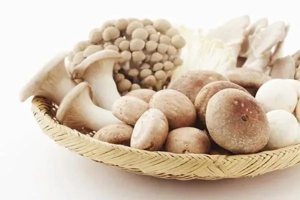 圖片關鍵詞 圖片關鍵詞