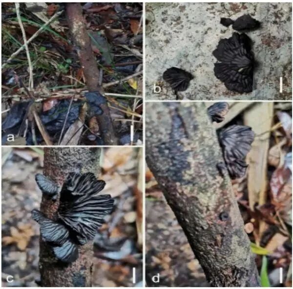 圖片關鍵詞 圖片關鍵詞