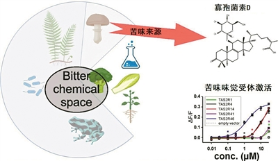 圖片關(guān)鍵詞 圖片關(guān)鍵詞