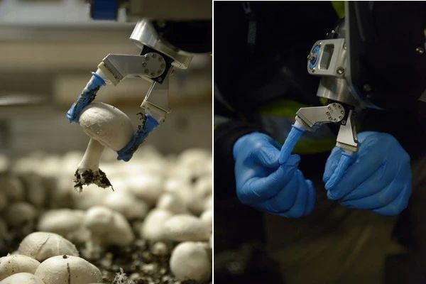 圖片關(guān)鍵詞 圖片關(guān)鍵詞