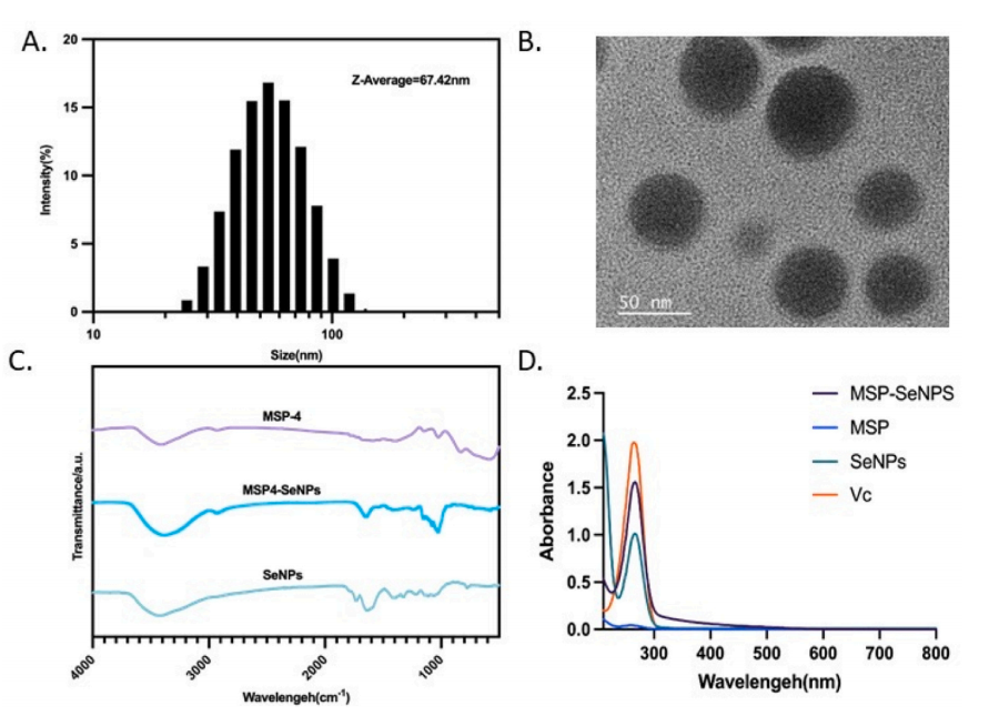 圖片關鍵詞 圖片關鍵詞
