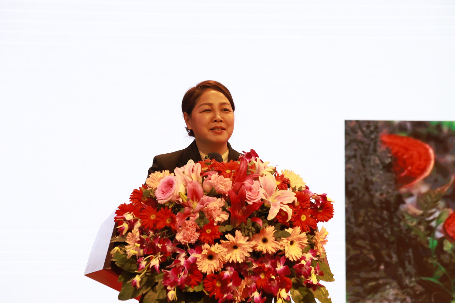 圖片關(guān)鍵詞